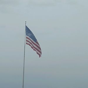 Meet your Posher, Adrianna